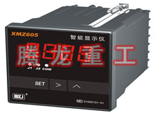 溫度表、數(shù)字顯示儀、濕度表