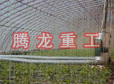 大棚花卉供暖設(shè)備、大棚卉采暖設(shè)備、大棚花卉取暖設(shè)備