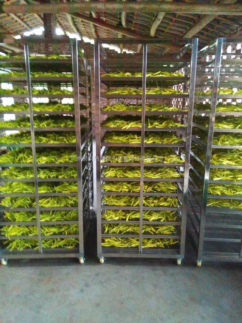 黃花菜烘干機(jī)、黃花菜烘干設(shè)備、黃花菜干燥機(jī)、黃花菜干燥設(shè)備、